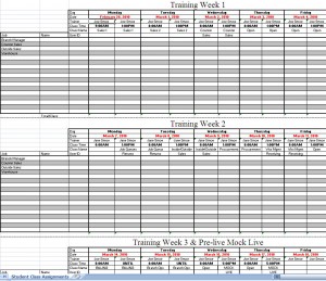 ERP Training Schedule with Mock Live Template Screenshot