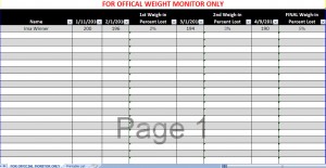 biggest loser spreadsheet