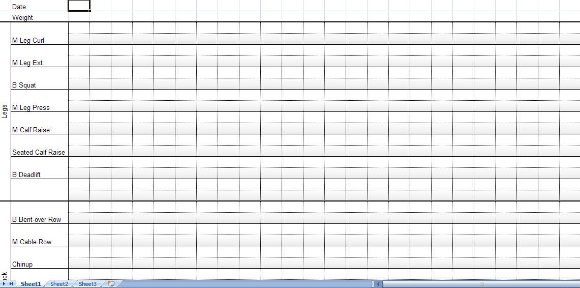 Excel Weight Lifting Template from myexceltemplates.com