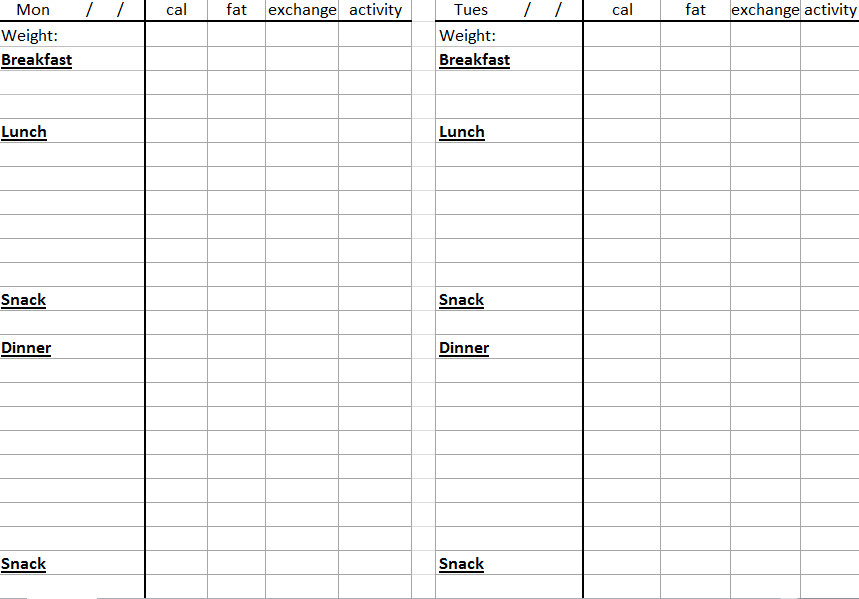 Food Diary Template Excel Free from myexceltemplates.com