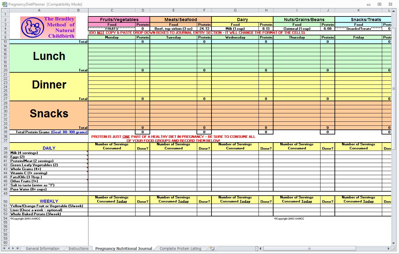 pregnancy-diet-spreadsheet-pregnancy-diet-template