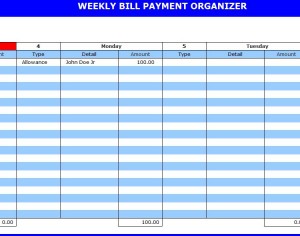 bill payment organizer