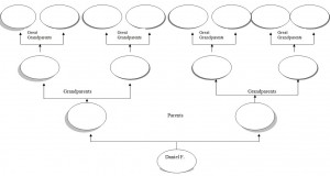 Family Tree Template Word from MyExcelTemplates.com