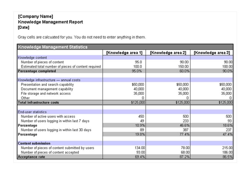 It Management Report Template