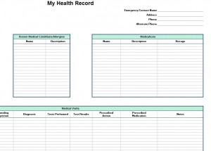 Screenshot of the Personal Health Record Template