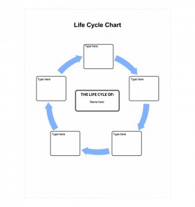 Cycle Chart Template