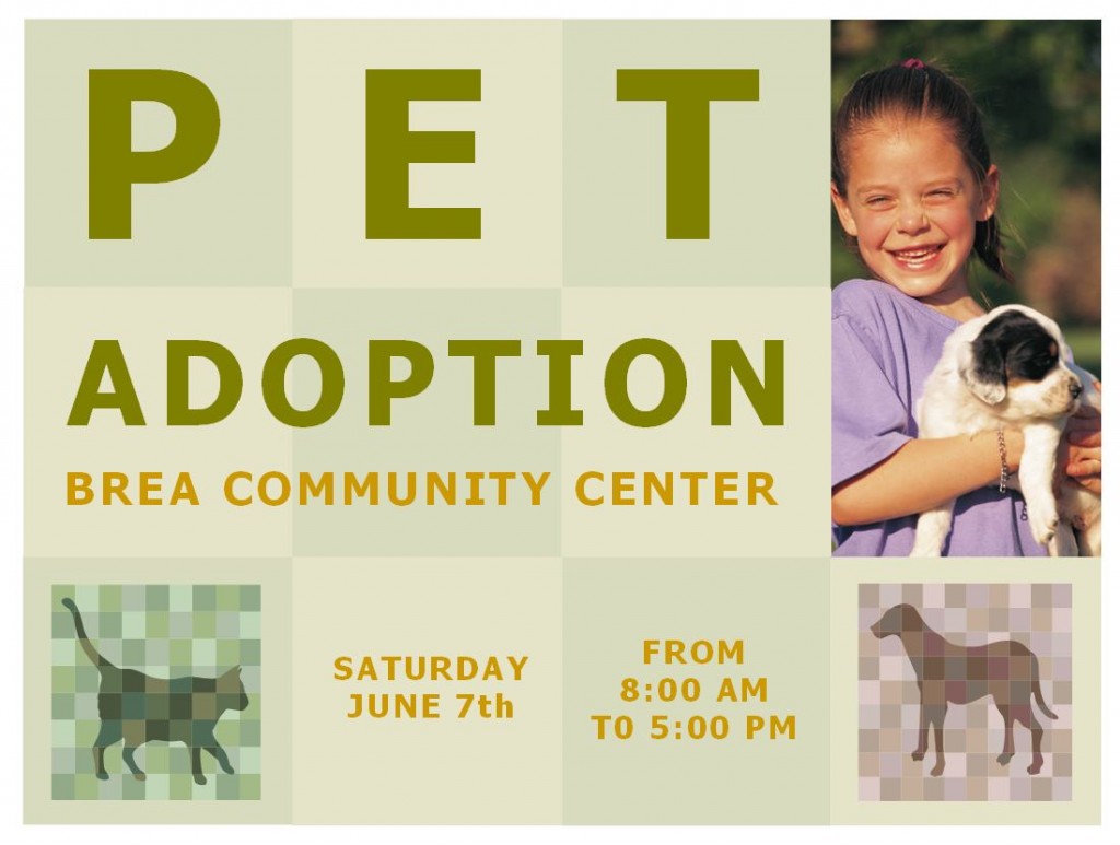 Pet Adoption Template Pet Adoption Flyer Template