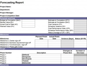 The Financial Forecast Report