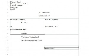 Pleading Template Word from myexceltemplates.com