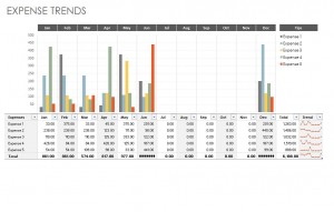 Microsoft's Company Expense Template