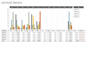 The Microsoft Expense Trends Budget Template