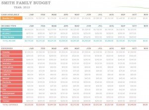 The Microsoft Family Budget Planner