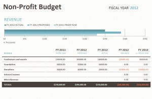 The Microsoft Non Profit Budget Spreadsheet