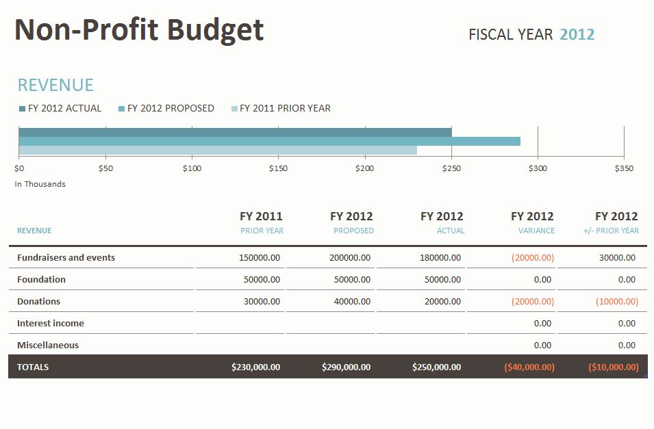 Non Profit Budget Spreadsheet Non Profit Budgeting 2283