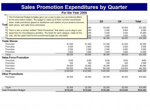 Promotional Budget Template Promotional Budget Spreadsheet