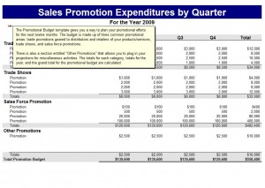 Microsoft's Promotions Budget Template
