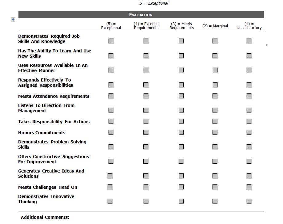 Self Performance Review Template