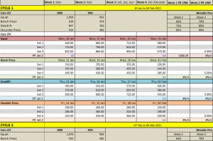 Fitness Progress Chart Template For Excel