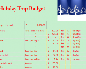 travel budget