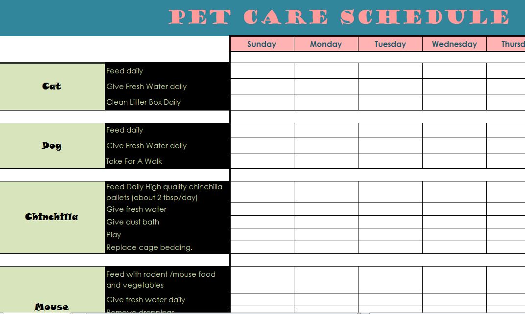 dog daily schedule chart