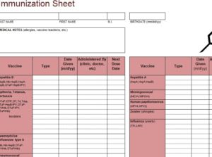 Medical Records Excel Template from myexceltemplates.com