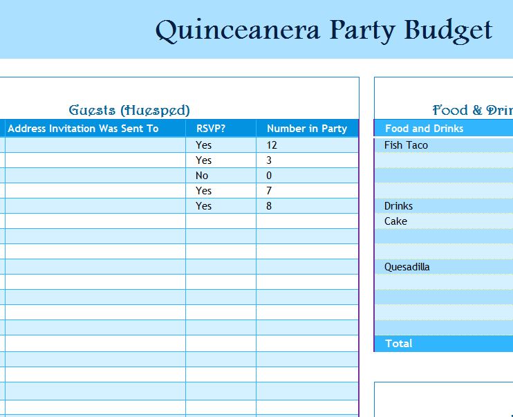 Quinceanera Party Budget - My Excel Templates