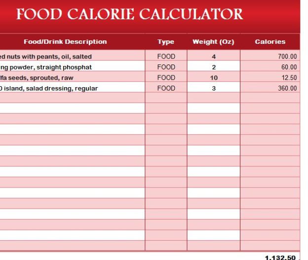 Food Calorie Calculator - My Excel Templates