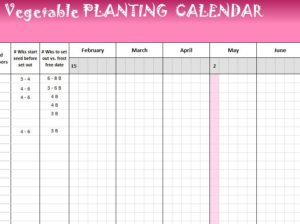 excel garden planner