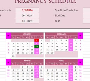 Pregnancy Schedule My Excel Templates