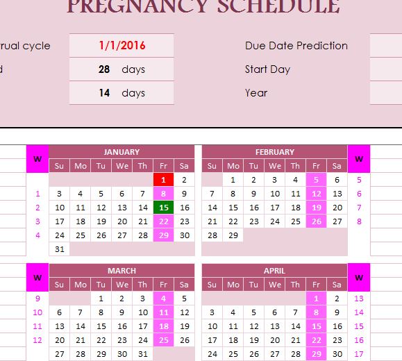 Pregnancy Schedule My Excel Templates 