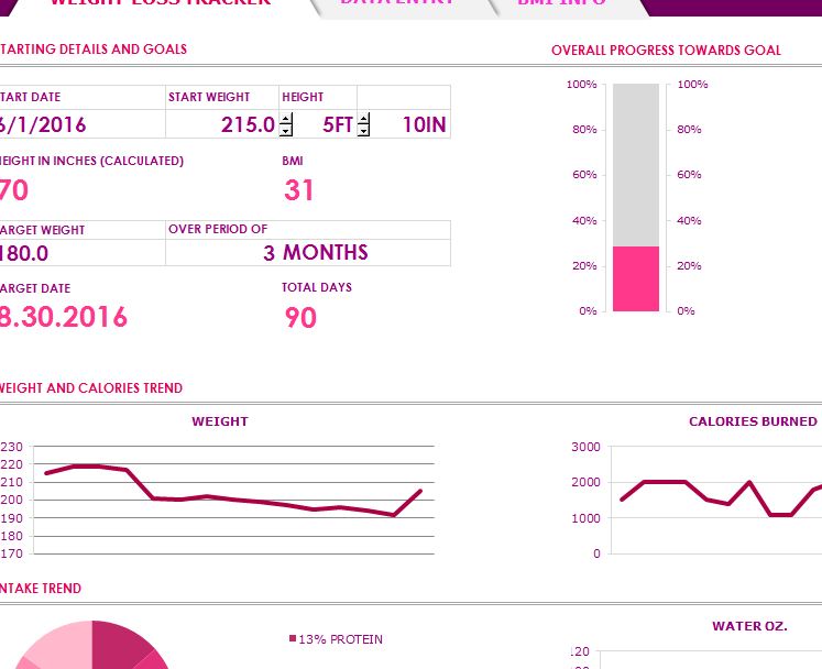 excel weight loss tracker template