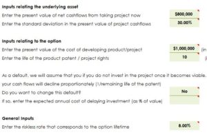 Project or Patent as Option Template