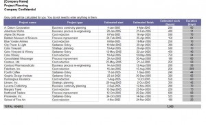 Screenshot of Excel Project Management Tracking Templates