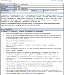 Prince2 Executive Role worksheet