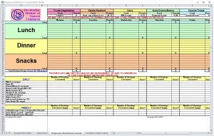 Pregnancy Diet Spreadsheet from MyExcelTemplates.com