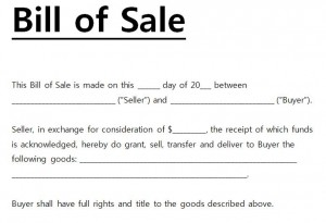 The Bill of Sale Template Word document