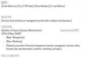 screenshot of the Resume Template Word
