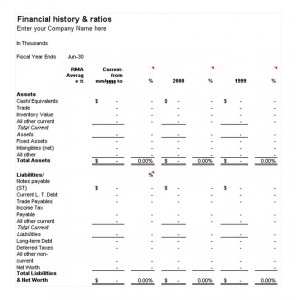 Download the Financial History and Ratios Template