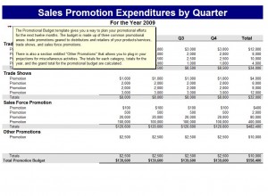 The Microsoft Promotional Budget Template