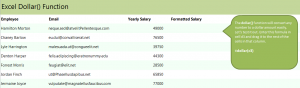 Excel Dollar Format