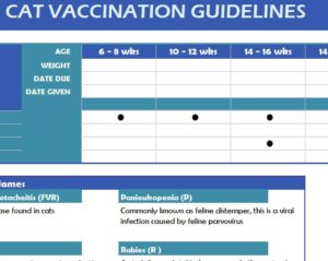 Cat Vaccination Guidelines