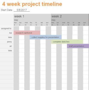 4-Week Project Timeline